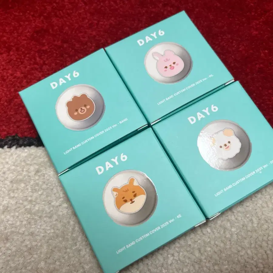 DAY6 | 데이식스 DAY6 Light Band Custom Cover Day6 Bangkedeon