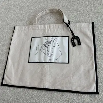 집소피아 gypsohila / 레슨 백