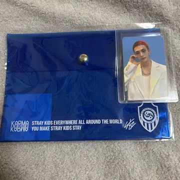 StrayKids 스키즈 KARMA POPUP PVC 파우치 현진