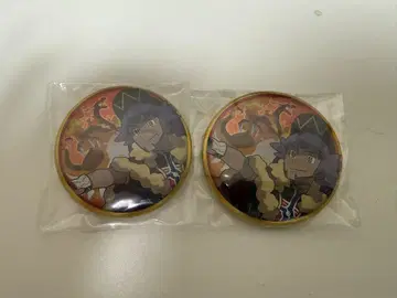포켓몬 트레이너즈 단델 캔뱃지