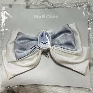 SKZOO 응원봉 리본 울프 찬