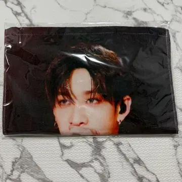 Stray Kids 방찬 라이브 사진 타월 카드 포함