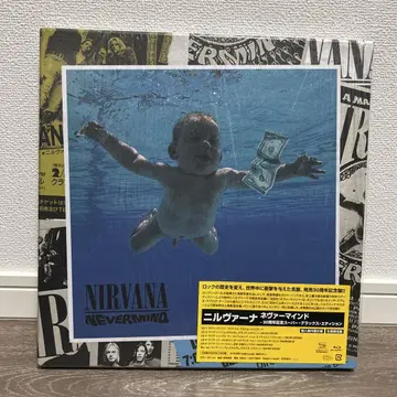 기념반 Nevermind 30th Anniversary Edition