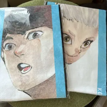 하이큐 풀컬러 머플러 타월 히루가미 호시우미