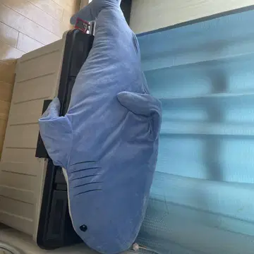 파란 상어형 봉제 인형