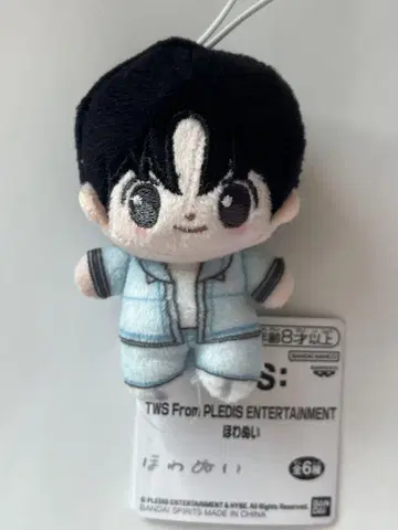 TWS 호와누이 한진 HANJIN 투아스