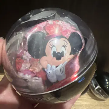 도쿄 디즈니랜드 imagining the Magic