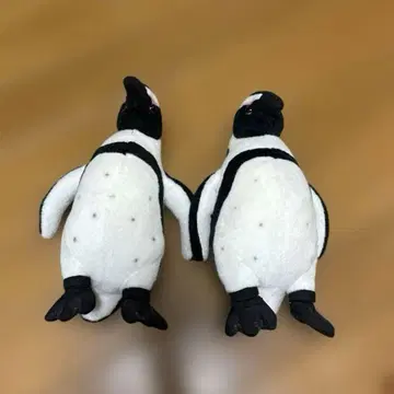 펭귄 봉제 인형 x 2마리 세트