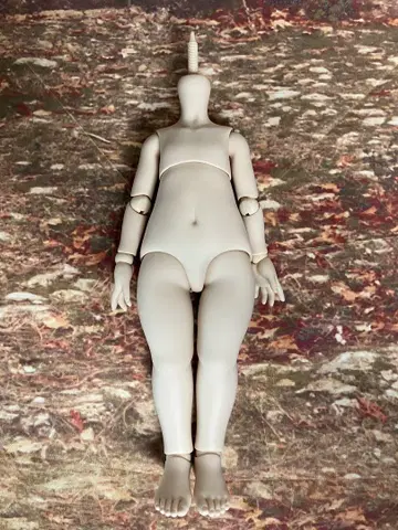 치미코 dd 바디 보크스 돌피드림 프레쉬 피부