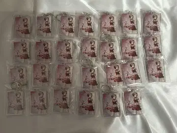 MEIKO 패키지 아크릴 키링 v3