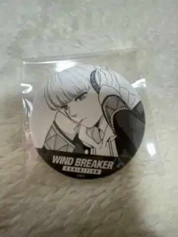WIND BREAKER 윈브레전 카지 렌 캔뱃지