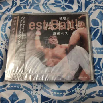 파괴왕 하시모토 신야 투혼 베스트 10 DVD