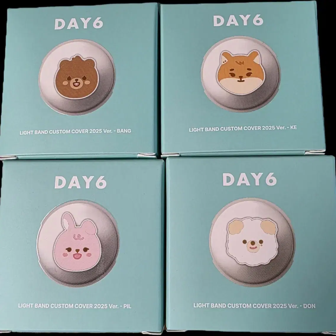 DAY6 light band マデウォッチ カスタム denimalz ドウン DAY6 | 데이식스 DAY6 Made Watch DAY6 Light Band ver1 #데이