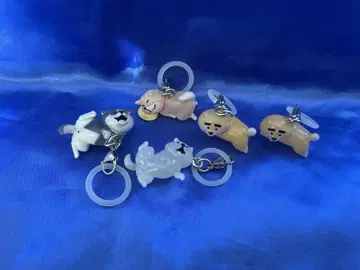 시바견 마크 액세서리