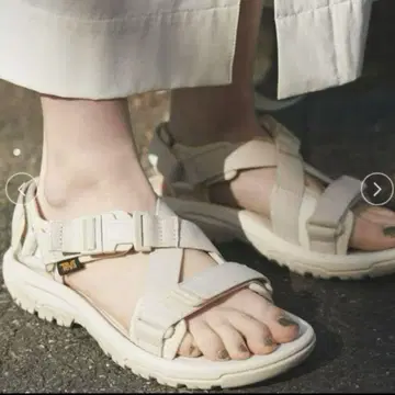 테바 허리케인 버지 베이지 23cm