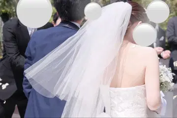 롱 웨딩 베일 빗 포함