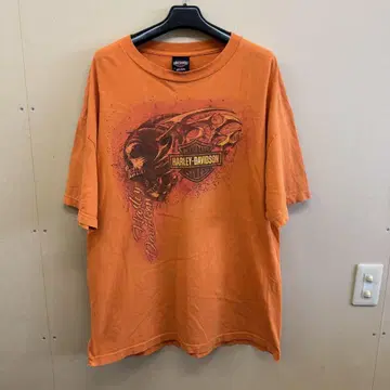 Harley-Davidson/Print T-Shirt/19