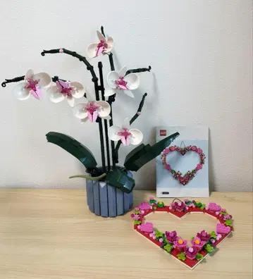 가격 인하! LEGO 팔레놉시스 10311 오너먼트 하트 40638