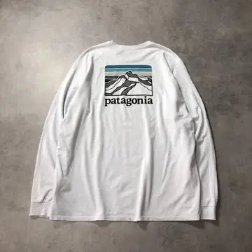 HQ174 patagonia : Line Logo Ridge