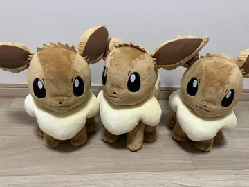 포켓몬스터 메챠모후굿토 봉제 인형 이브이 3개