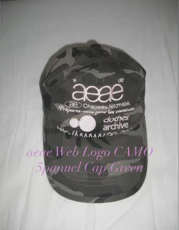 aeae Web Logo CAMO Cap