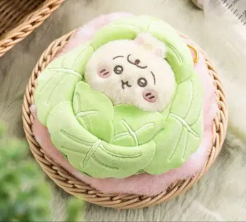 치이카와 (먼작귀) Chiikawa Baby 양배추에 싸인 토끼 마스코트