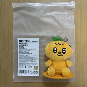 SEVENTEEN miniteen 승관 봉제 인형 키링
