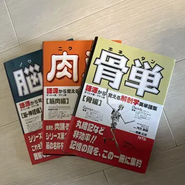 해부학 영어 단어집 시리즈 x 3