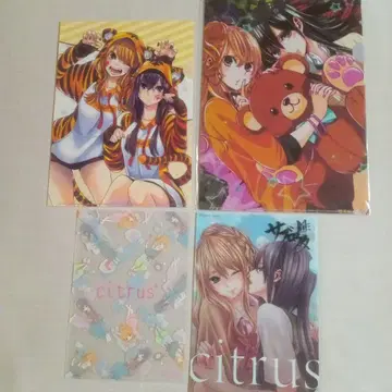 citrus 시트러스 클리어 파일 4매 세트 사부로 우타