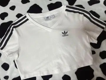 adidas original 제니 BLACKPINK 크롭T셔츠