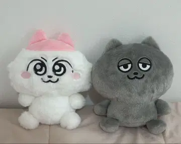 고양이 봉제 인형 세트