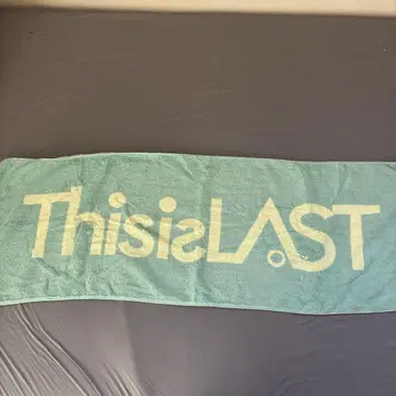 This is LAST 타월