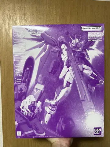 MG 1/100 데스티니 임펄스 건담 R (리제네스)