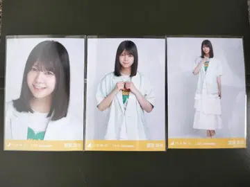 토미사토 나오 썸머 자켓 브로마이드 컴프