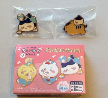 치이카와 (먼작귀) 와쿠와쿠 유원지 핀즈 핀 배지