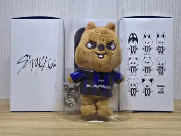 straykids 스키즈 SKZOO 키링 한크와카
