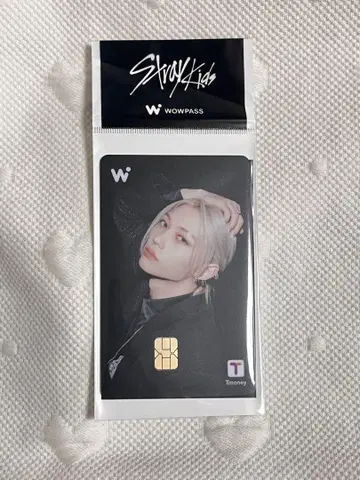 WOWPASS 필릭스 스키즈 straykids