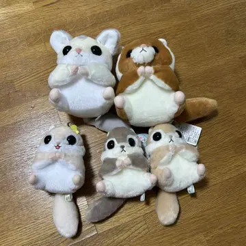 모몽가난다몽 세트