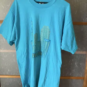 프룻 오브 더 룸 CLEVELAND T셔츠 FRUIT 90's