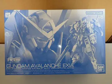 RG 1/144 건담 아발란체 엑시아 돌진