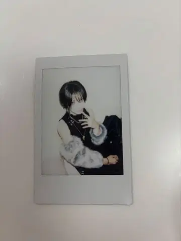 달콤한 폭력 사키 폴라로이드