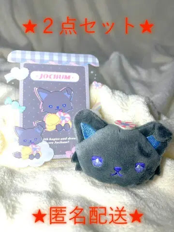 [ 2개 세트 ] JOCHUM 피 하이 경질 케이스 & 브로치 제오참