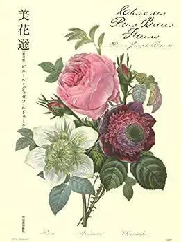 새상품급 아름다운 꽃 선택 보급판