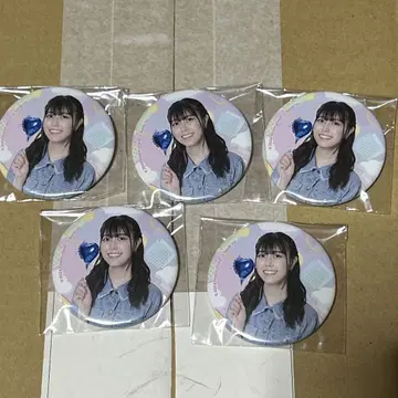 [ 미개봉 ] 히나링 온라인 타테이시 린 캔뱃지 5세트