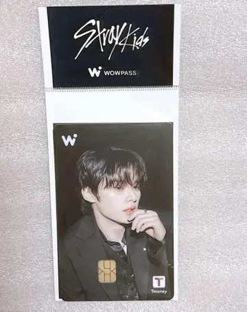 미등록 새상품 wowpass 카드 리노 straykids