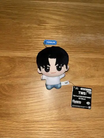 TWS 투아스 SD 인형 YOUNGJAE 영재 남코 한정판