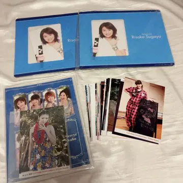 하로프로 Berryz공방 스가야 리사코 브로마이드 66장 묶음 판매