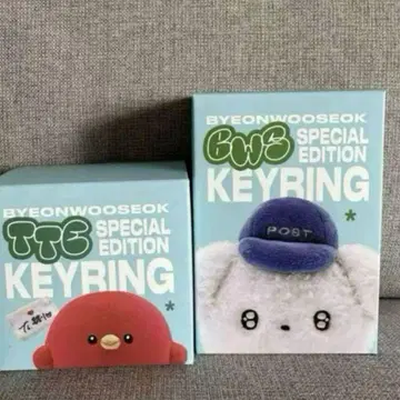 BYEONWOOSEOK KEYRING 변우석 키링 세트
