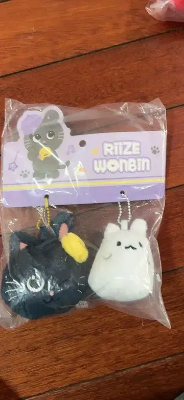 RIIZE 원빈 중국 한정판