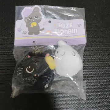 RIIZE 원빈 중국 한정판